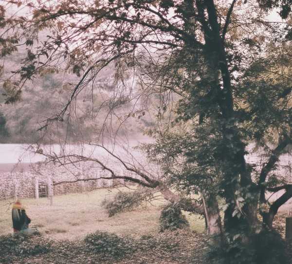 蓉城旋律，简谱中的成都情怀,旋律中的蓉城记忆，歌曲与简谱的魅力之旅,旋律,音符,音乐爱好者,第1张