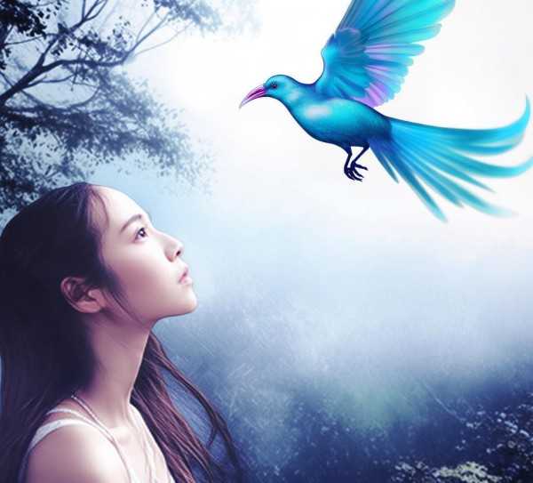 青鸟，梦幻翅膀下的日语歌之旅,青鸟日语歌名，探寻音乐中的梦幻翅膀,旋律,幸福,第1张